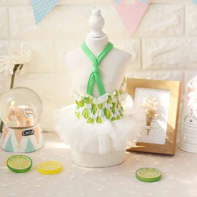 Design Flower Sexy Dog Dress Suspender Layers Pet Tutu Skirts